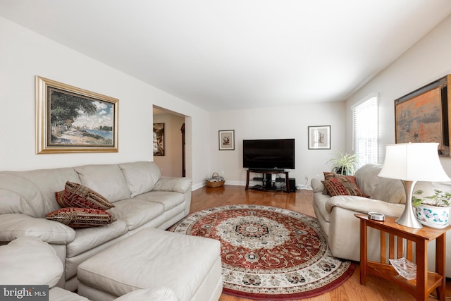 living room featuring wood-type flooring