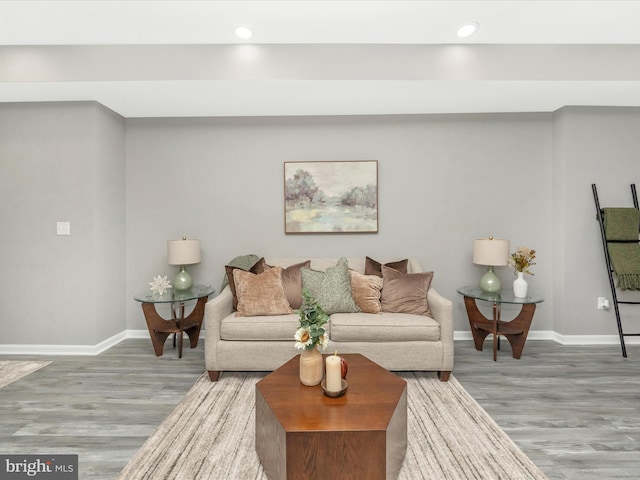 living room featuring wood-type flooring