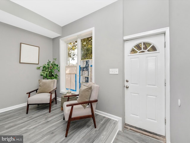 entrance foyer with light hardwood / wood-style flooring