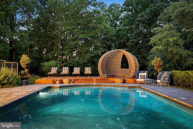 view of pool with a patio