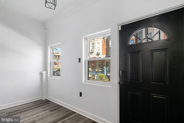 foyer entrance featuring crown molding, hardwood / wood-style flooring, and plenty of natural light