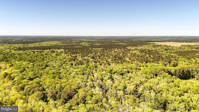 0 Meadow Bridge Rd, Snow Hill, MD 21863
