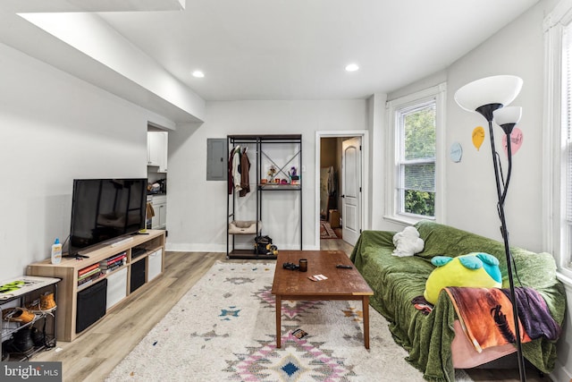 living room featuring electric panel and light hardwood / wood-style flooring