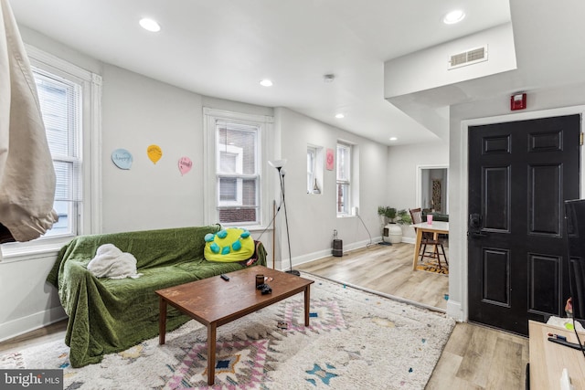 living room featuring light hardwood / wood-style floors