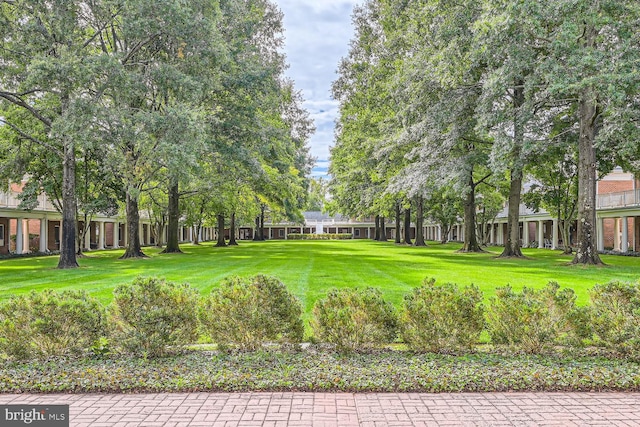 view of property's community featuring a yard