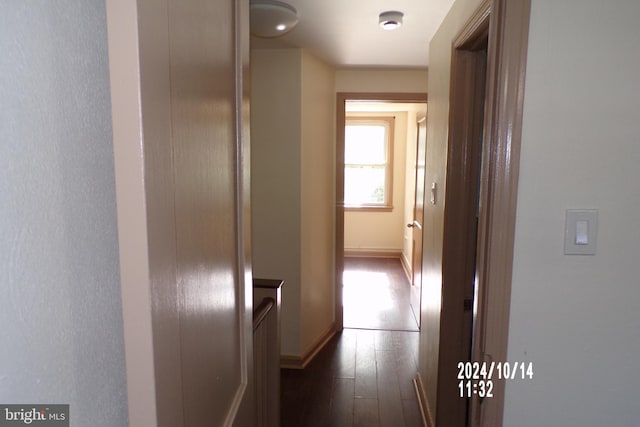 corridor with dark hardwood / wood-style flooring