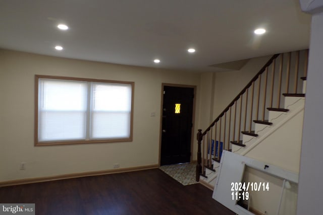 foyer with dark wood-type flooring