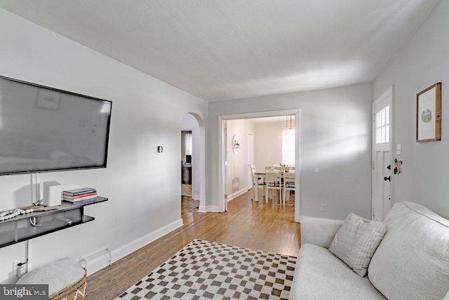 living room with light hardwood / wood-style floors