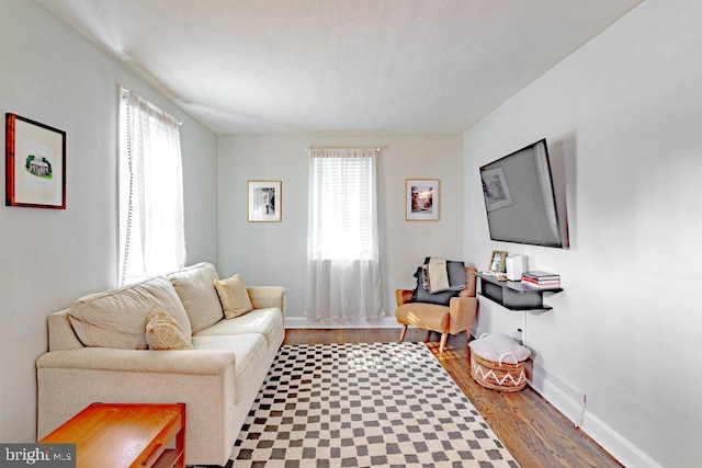 living room featuring a healthy amount of sunlight and wood-type flooring