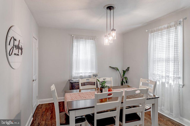 dining room with hardwood / wood-style floors