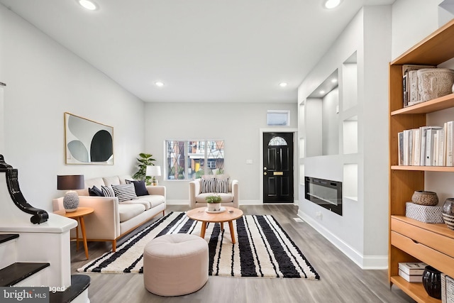 living room featuring hardwood / wood-style flooring