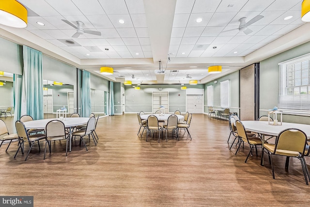 dining area featuring a drop ceiling, hardwood / wood-style flooring, and ceiling fan