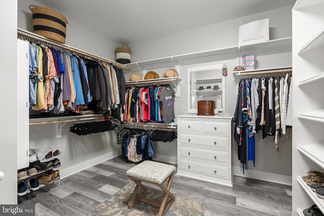 spacious closet with wood-type flooring