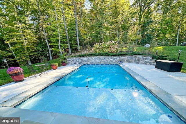 view of swimming pool featuring a patio area