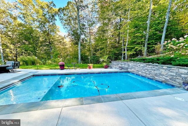 view of swimming pool featuring a patio