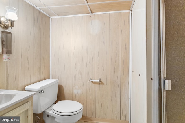 bathroom with vanity, wooden walls, and toilet