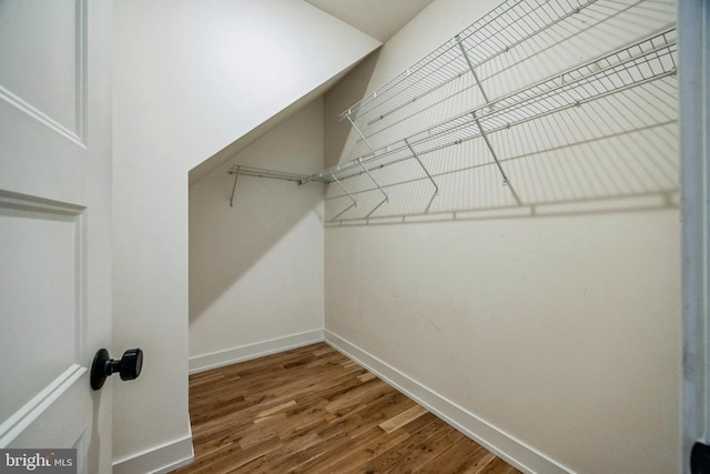 walk in closet featuring hardwood / wood-style flooring