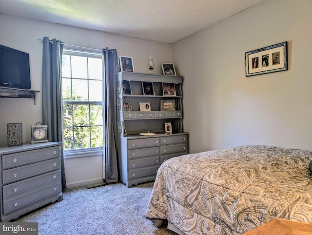 48 W 3rd St, Everett, PA 15537 - bedroom with multiple windows and light colored carpet