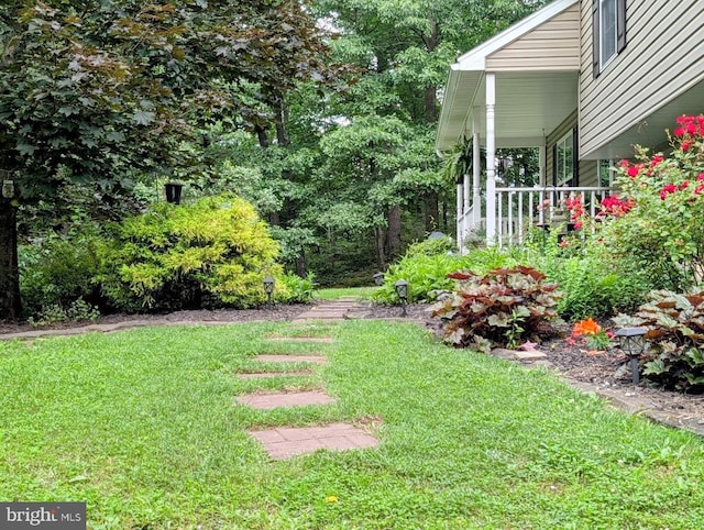 48 W 3rd St, Everett, PA 15537 - view of green lawn