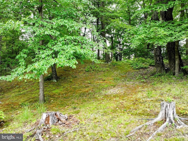 48 W 3rd St, Everett, PA 15537 - view of undeveloped land