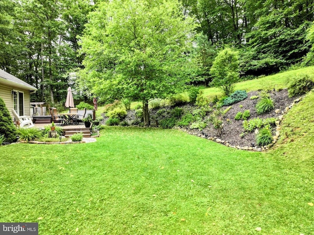 48 W 3rd St, Everett, PA 15537 - view of green lawn with a wooden deck