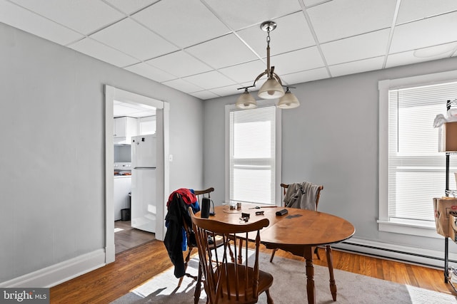 dining space with a wealth of natural light, a drop ceiling, and wood-type flooring