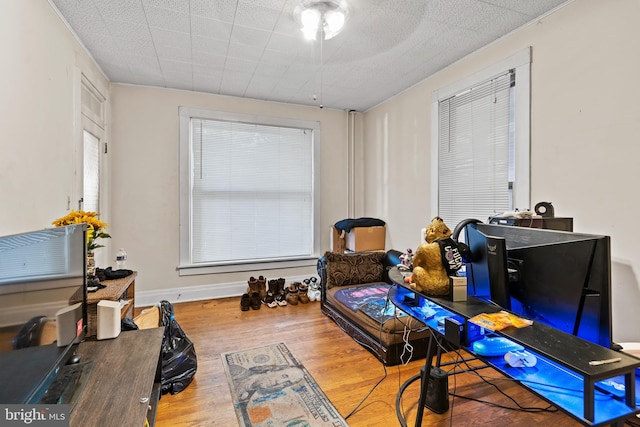 living area featuring hardwood / wood-style floors