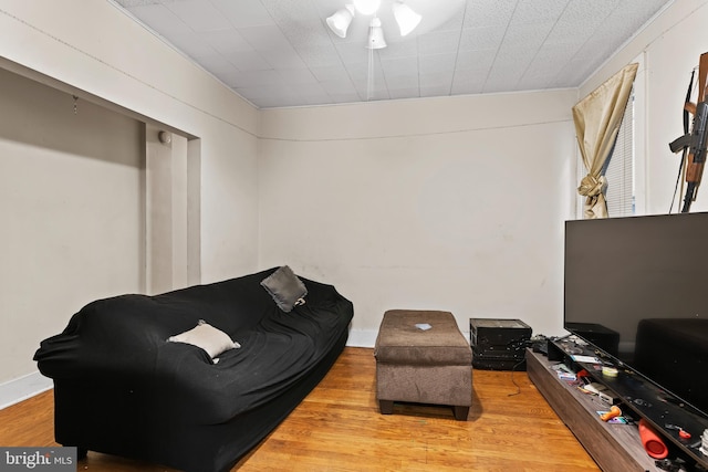 living room featuring hardwood / wood-style floors