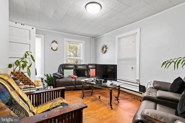 living room with crown molding and wood-type flooring