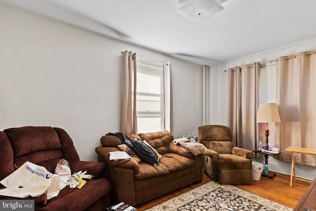 living room featuring ornamental molding and hardwood / wood-style flooring