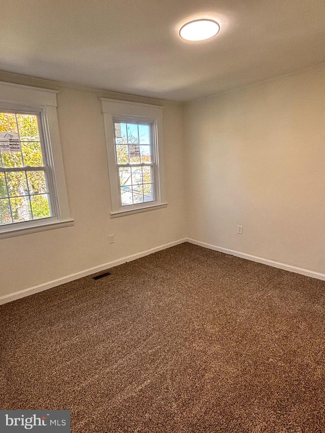 empty room with carpet and plenty of natural light