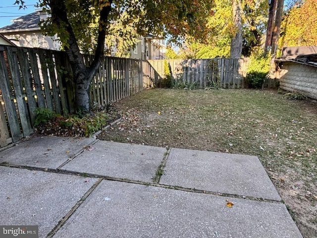 view of yard featuring a patio area