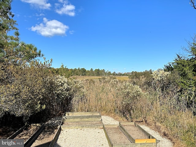 view of local wilderness