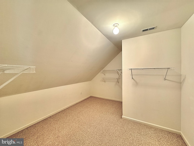 spacious closet featuring carpet and vaulted ceiling