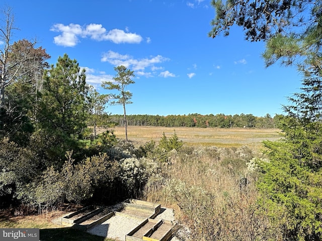 view of nature