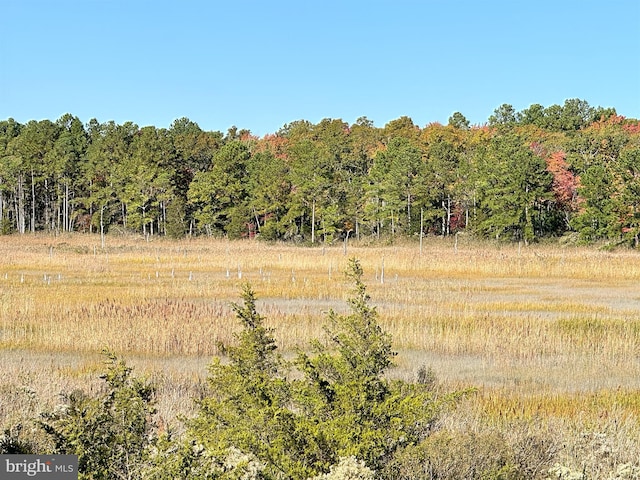 view of nature