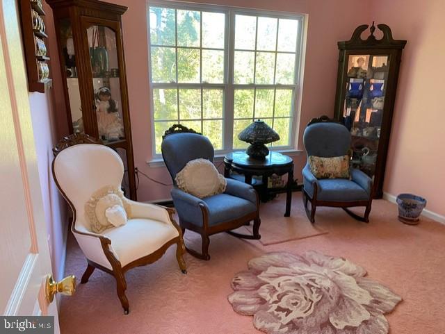 sitting room with carpet floors