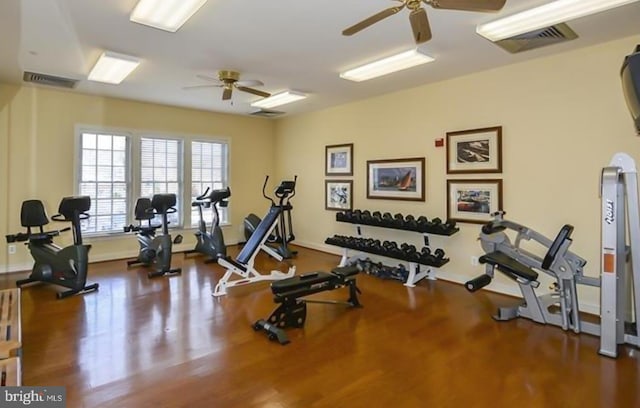 exercise area featuring hardwood / wood-style flooring and ceiling fan