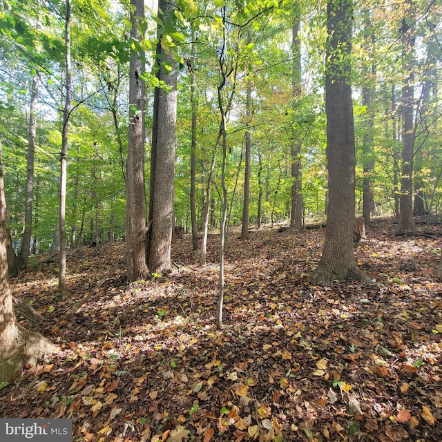 2647 Hoopes Rd, Forest Hill MD, 21050 land for sale