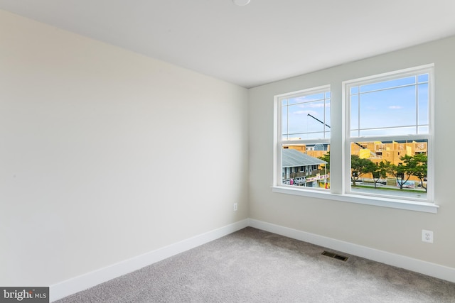 spare room with a wealth of natural light and carpet flooring