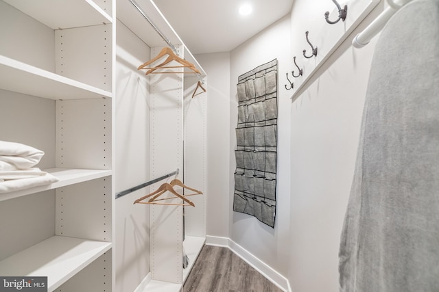 spacious closet with wood-type flooring