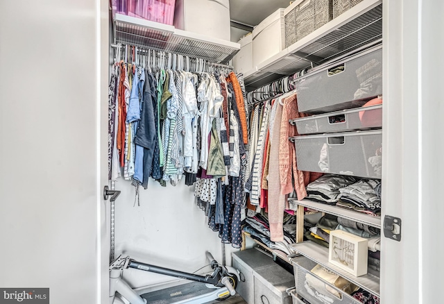 view of spacious closet