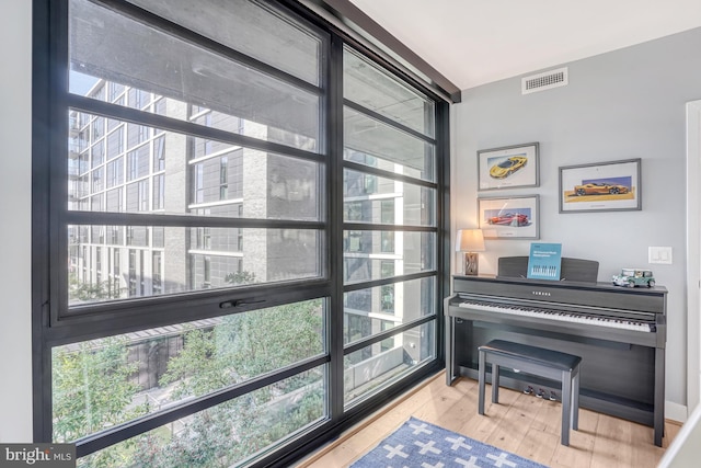 misc room with hardwood / wood-style floors and a healthy amount of sunlight