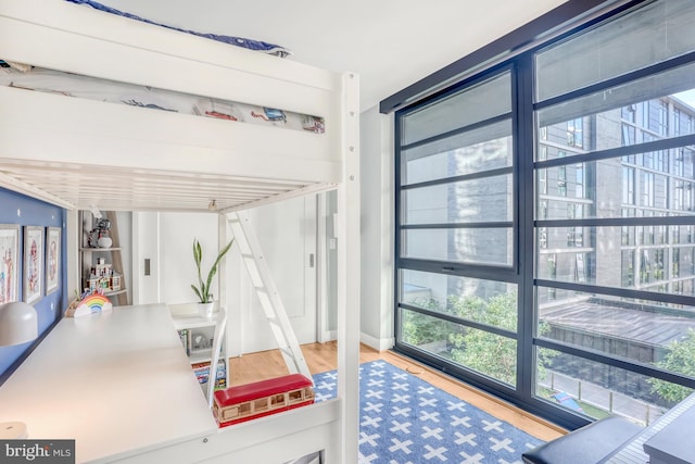 interior space featuring hardwood / wood-style floors