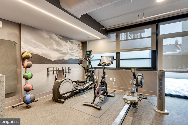 workout area featuring carpet flooring