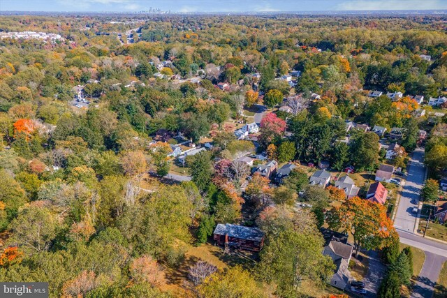 bird's eye view