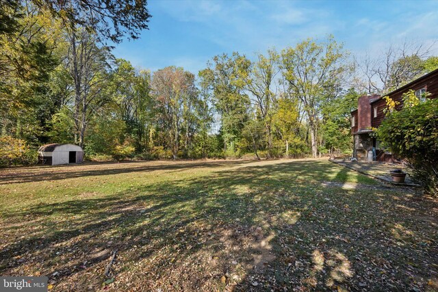 view of yard featuring a shed