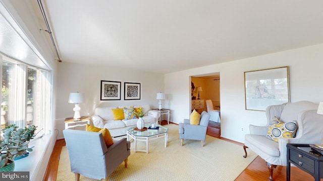 living room with light wood-type flooring