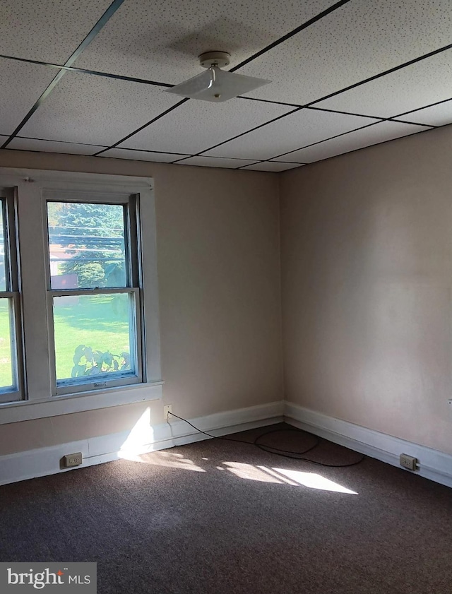 spare room featuring a drop ceiling, carpet flooring, and ceiling fan