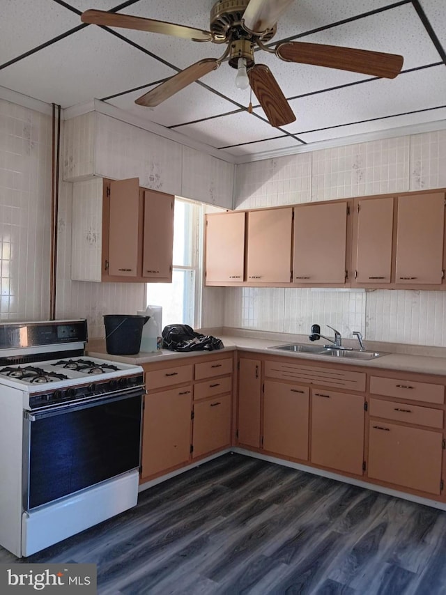 kitchen featuring ceiling fan, white stove, sink, and dark hardwood / wood-style floors